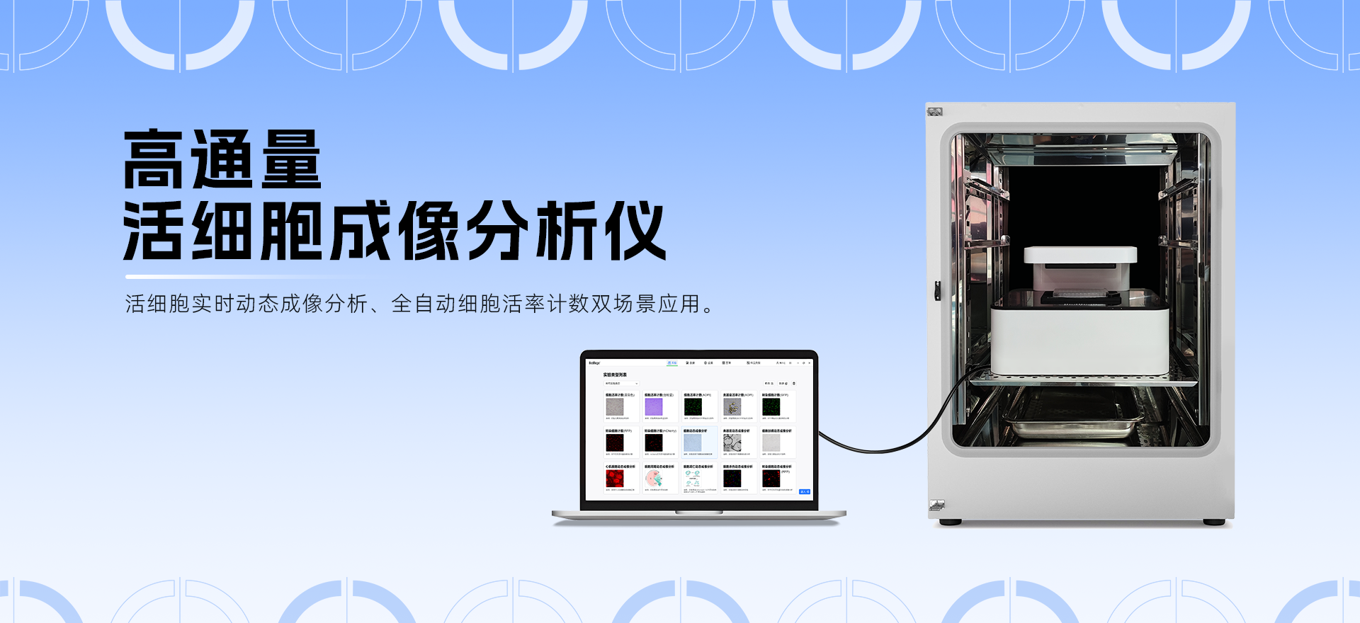 高通量活细胞成像分析仪在细胞毒性研究中的应用