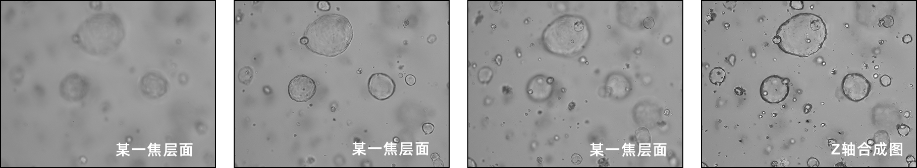 Z轴多层扫描.png