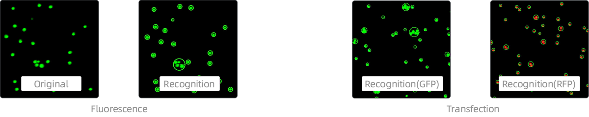 a14d1b1273077e13e8cf00c6d9f0ee72.png